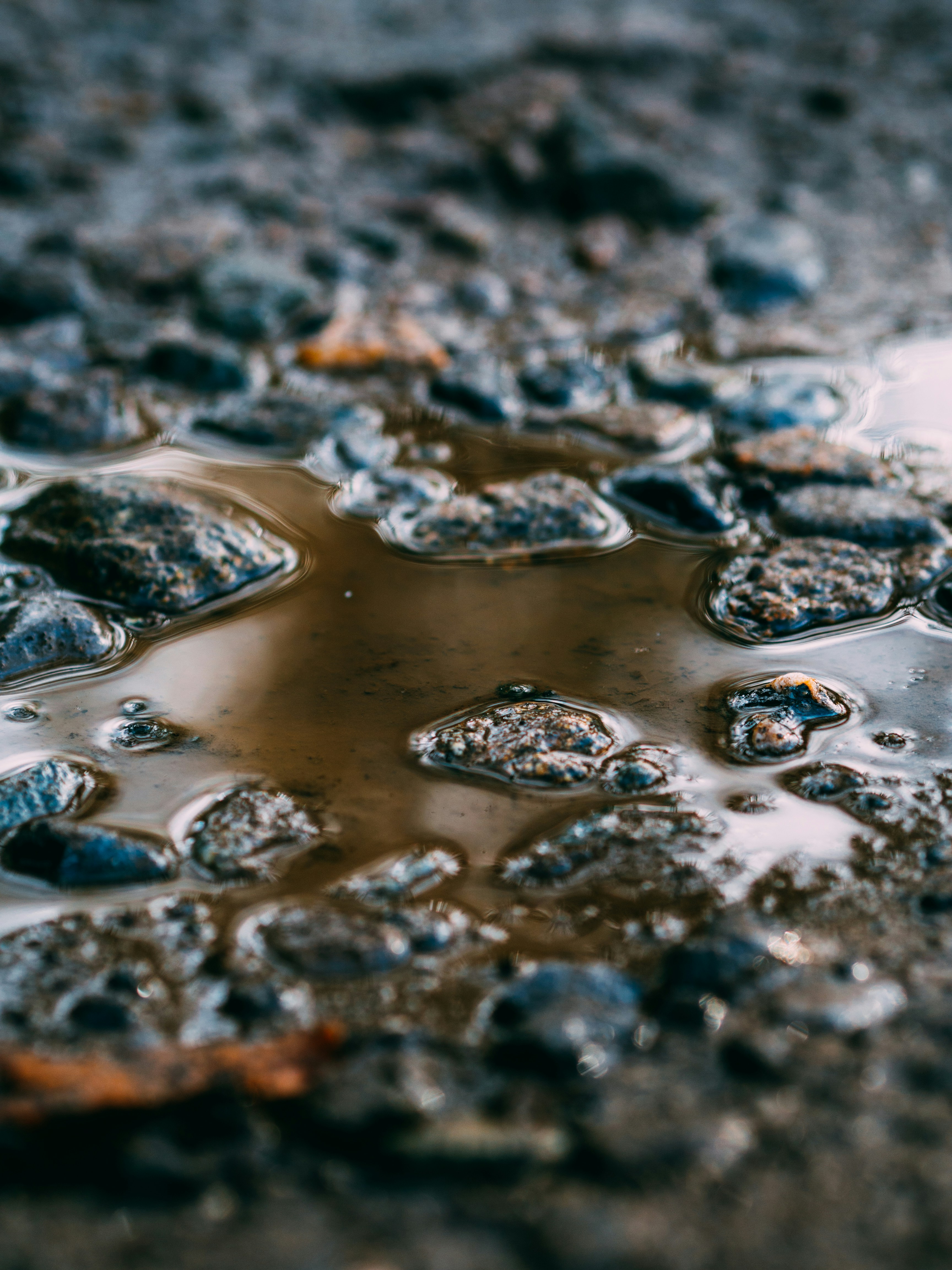 Phase II Environmental Site Assessments